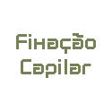 Fixação Capilar